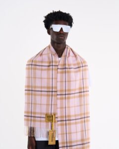 Cashmere Stole Scarves