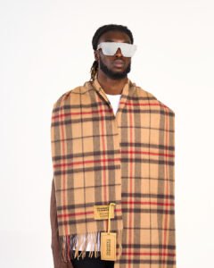Cashmere Statement Scarves 